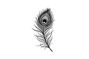 Peacock Feather Silhouette Bundle, an Illustration by jahid234 (Thumbnail 14 of 31)
