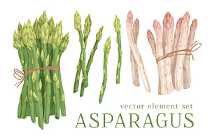 Hand drawn asparagus stems set, a Food Illustration by Good Studio