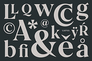 Galonia Type, a Serif Font by Dopestype (Thumbnail 6 of 13)