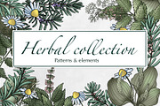 Herbal collection, a Decorative Illustration by sizileon (Thumbnail 1 of 11)