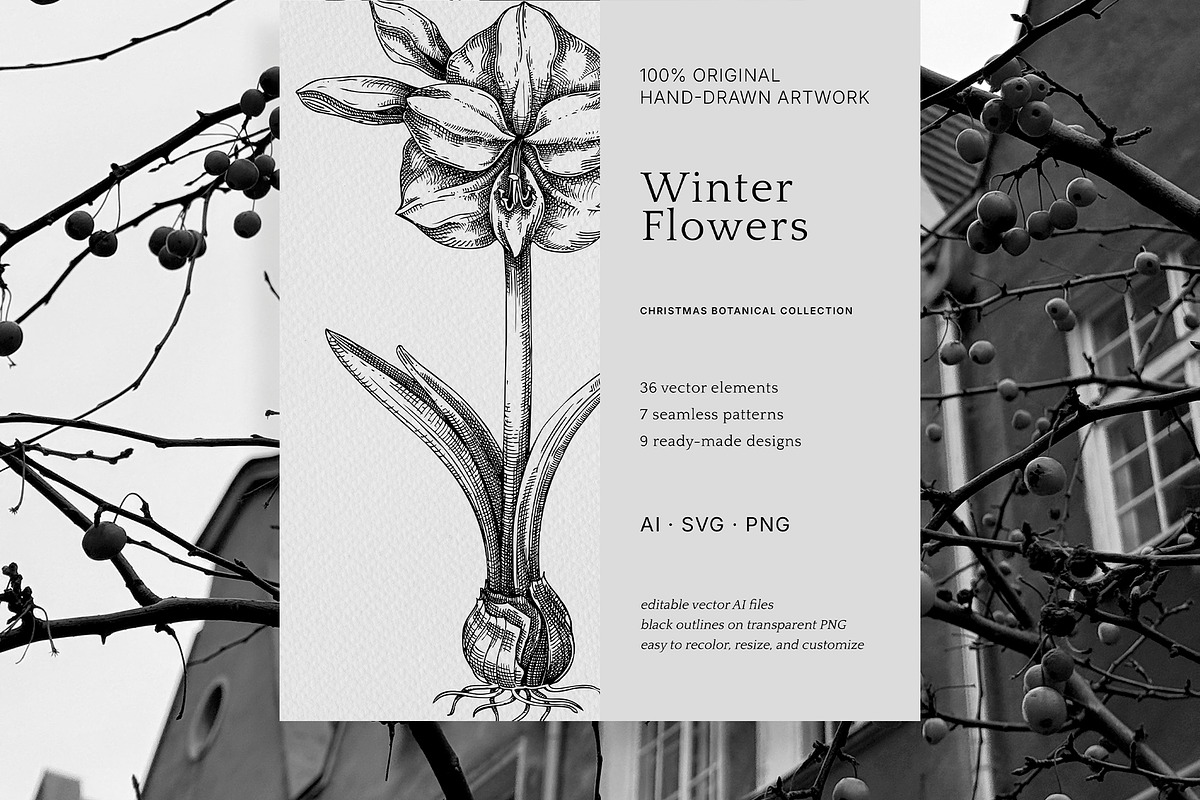 Winter Flowers Christmas Collection, a Seasonal Illustration by Yevheniia (Photo 12 of 12)