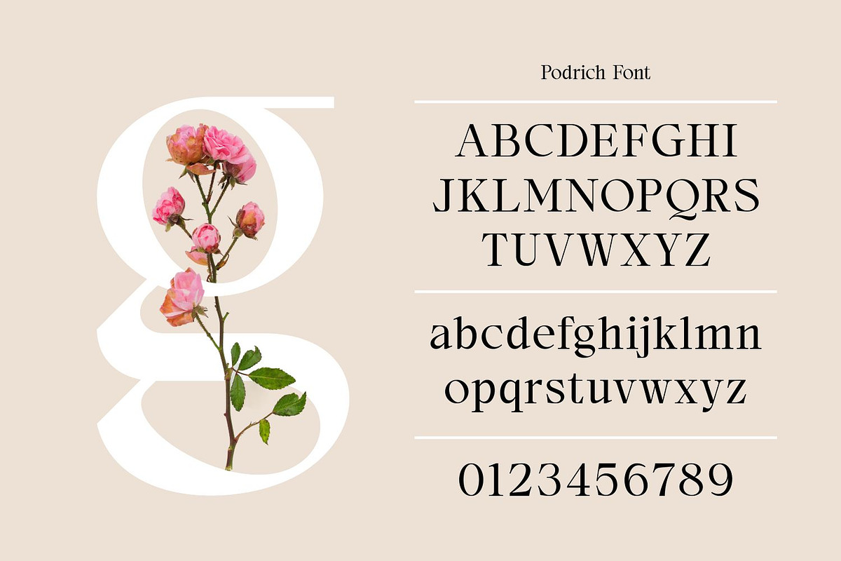 Podrich - Timeless Logo Font, a Serif Font by Asenbayu (Photo 2 of 14)