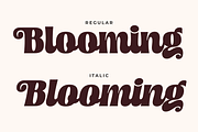 Moilenka - A Bold Retro Script, a Handwritten Font by Ainun Jinan (Thumbnail 10 of 12)