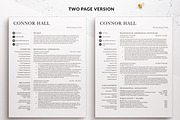 Professional Resume Page Simple CV, a Resume Template by BestResumes.Co (Thumbnail 3 of 9)