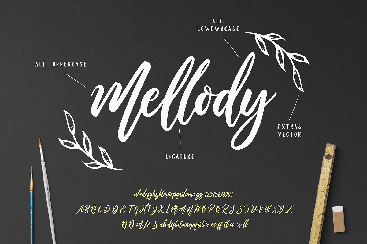 Wild Ones, a Script Font by Dikas Studio (Photo 4 of 8)