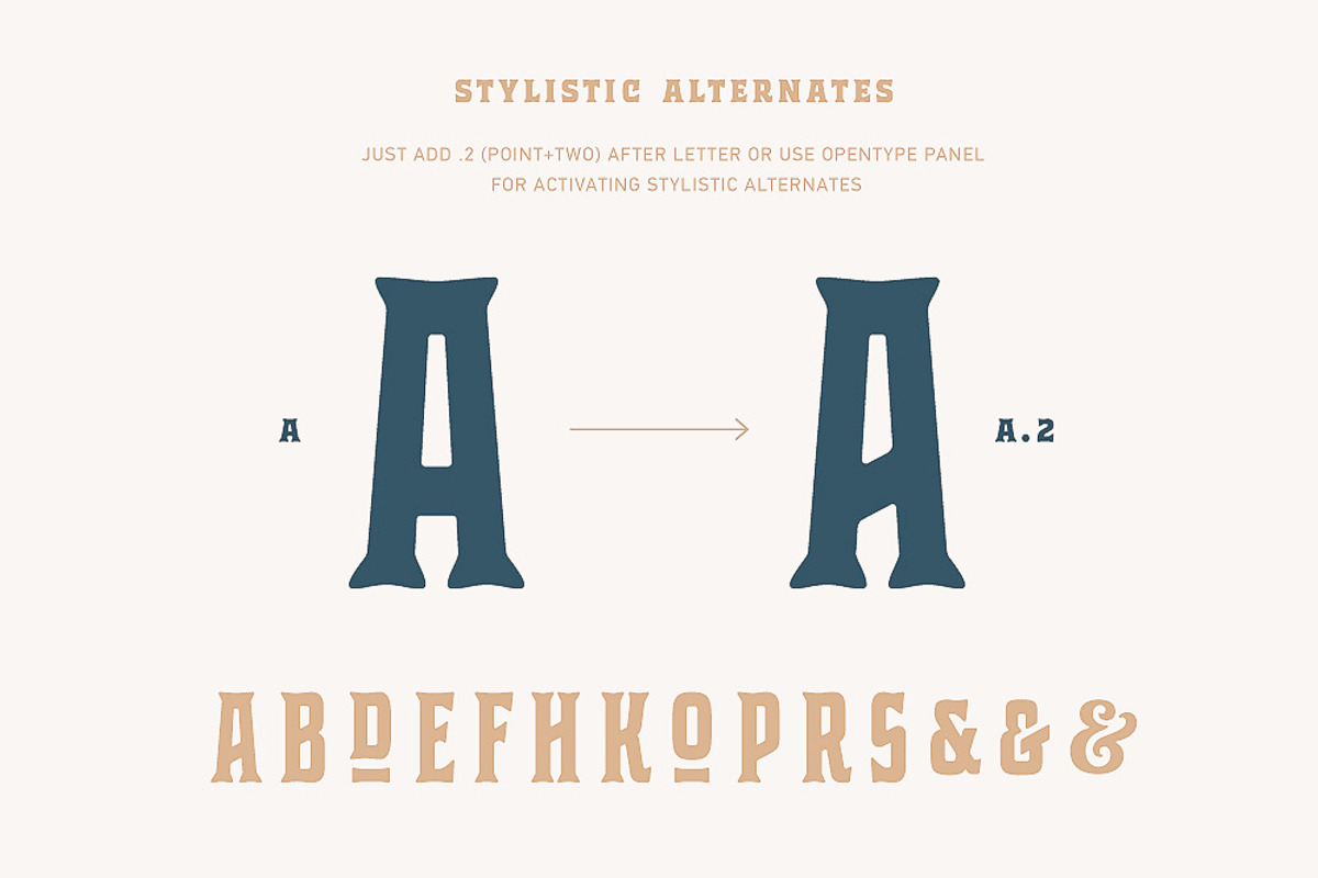 Bourbon House font + Vintage Frames, a Serif Font by Andrey Sharonov (Photo 10 of 12)