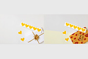GIFT WRAP MOCKUPS PSD Layered, a Packaging Mockup by bazarova (Thumbnail 8 of 20)