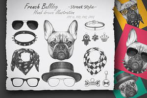 French Bulldog / Street Style