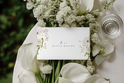 White Florals Watercolor Collection, a Decorative Illustration by Altea Design Studio (Thumbnail 5 of 13)
