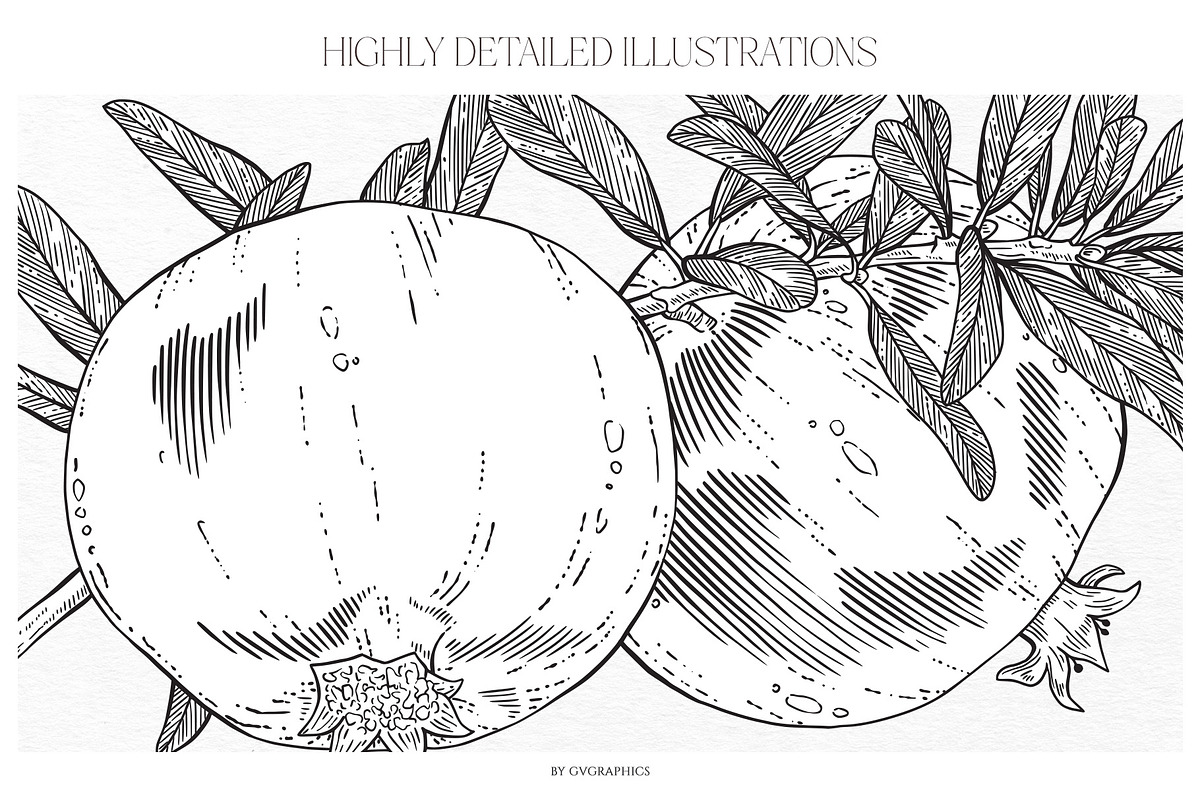 Summer Island Illustrations, an Animal Illustration by GVGraphics (Photo 5 of 9)