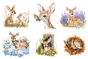 Watercolor Fawn & Doe Clipart, an Illustration by CreationArt (Thumbnail 5 of 5)