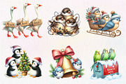 Christmas Birds Sublimation Clipart, an Illustration by CreationArt (Thumbnail 3 of 5)