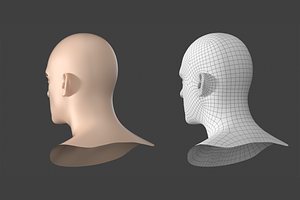 Natural Male Head 01 Generic Mesh