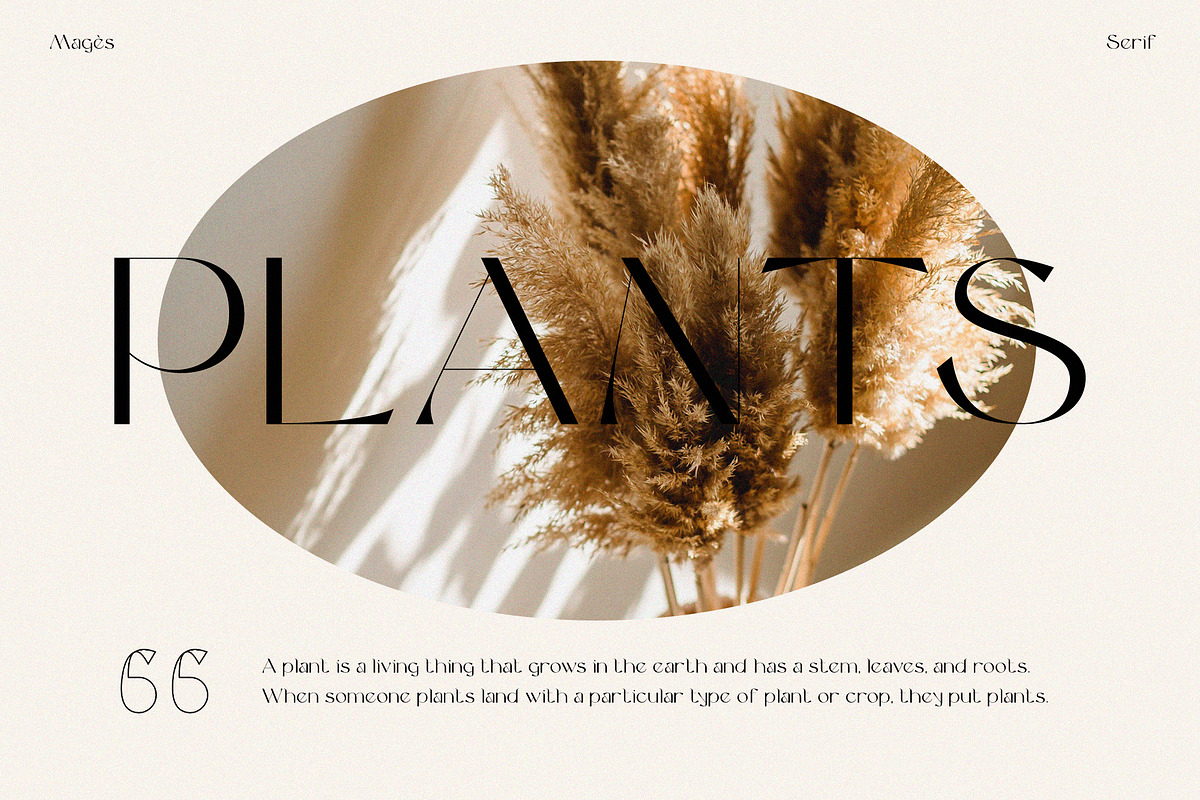 Magès - Modern Serif Typeface, a Serif Font by Graphicfresh (Photo 7 of 10)