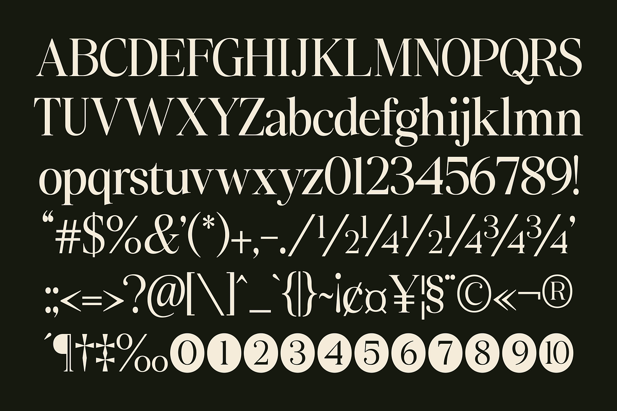 Slotera Calse Family Serif, a Serif Font by Marvadesign (Photo 8 of 12)