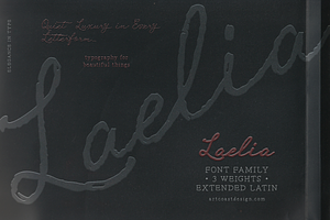 Laelia Font Family | Elegant Script, a Script Font by nadispasibenko