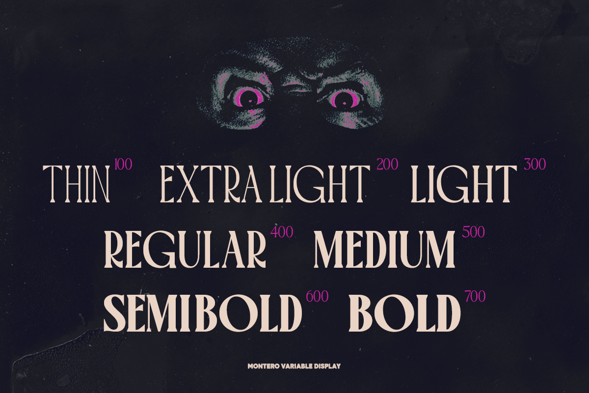 TT Montero Serif Condensed, a Serif Font by truetype (Photo 12 of 15)