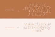 Jaque | Royal Serif, a Serif Font by Pentagonistudio (Thumbnail 11 of 12)