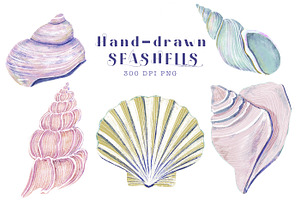 Seashells clipart collection