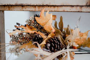Fall Styled Images
