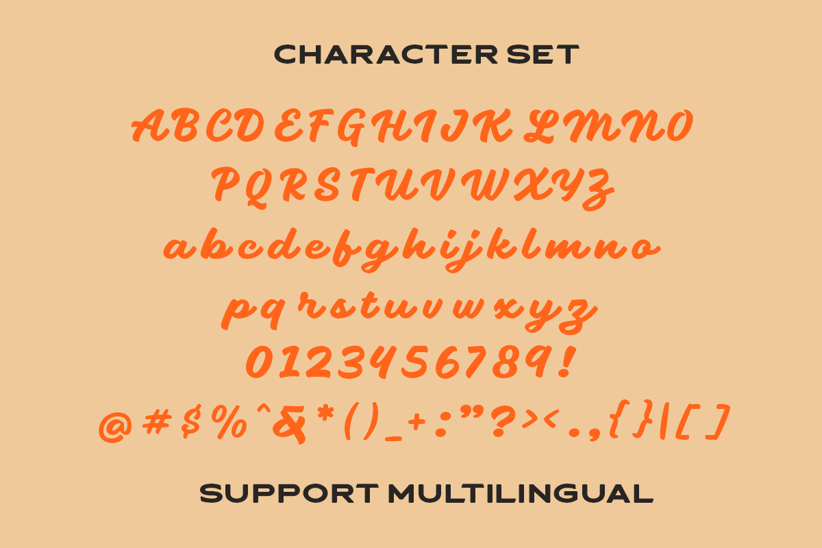 Sogate - Bold Script, a Script Font by Letterhend Studio (Photo 8 of 9)