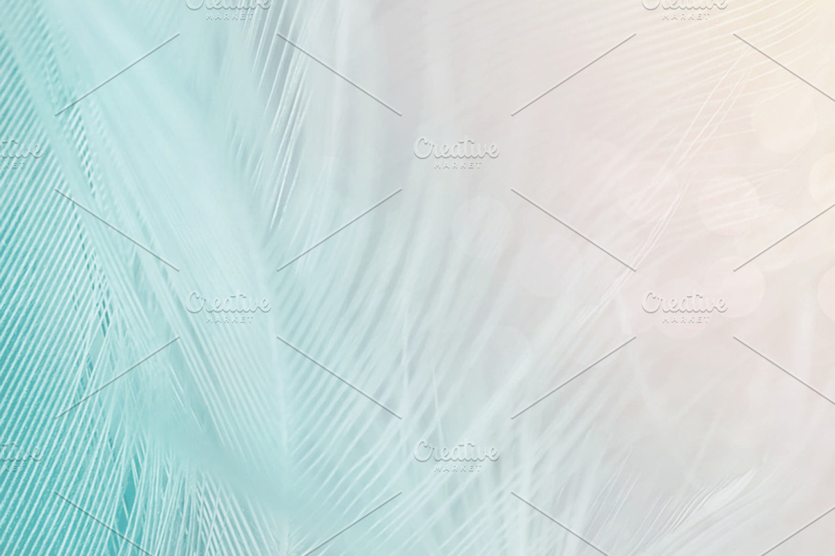 Pastel Feathers, an Abstract Photo by The Free Creatives (Photo 2 of 2)