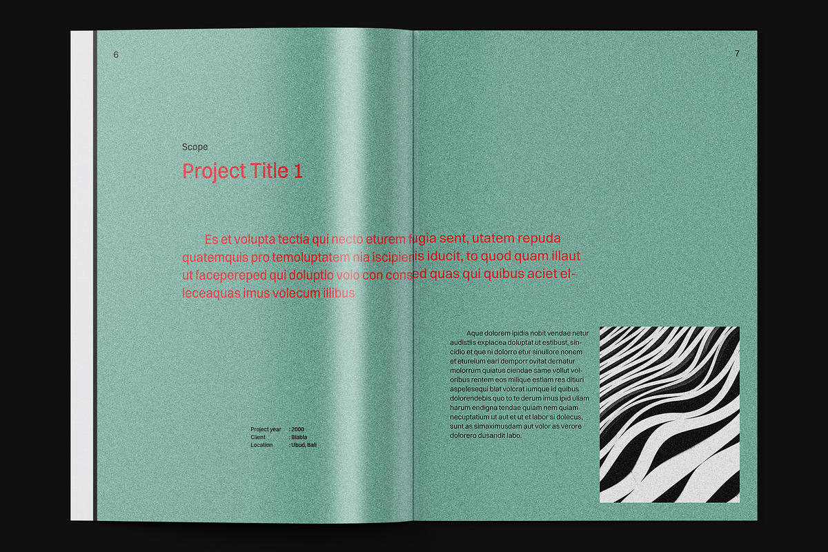 Multipurpose Portfolio Template v3, a Brochure Template by Akreatipe (Photo 5 of 9)