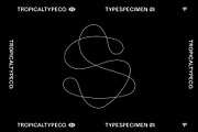 Display Font Collection, a Slab Serif Font by Tropical Type (Thumbnail 26 of 46)