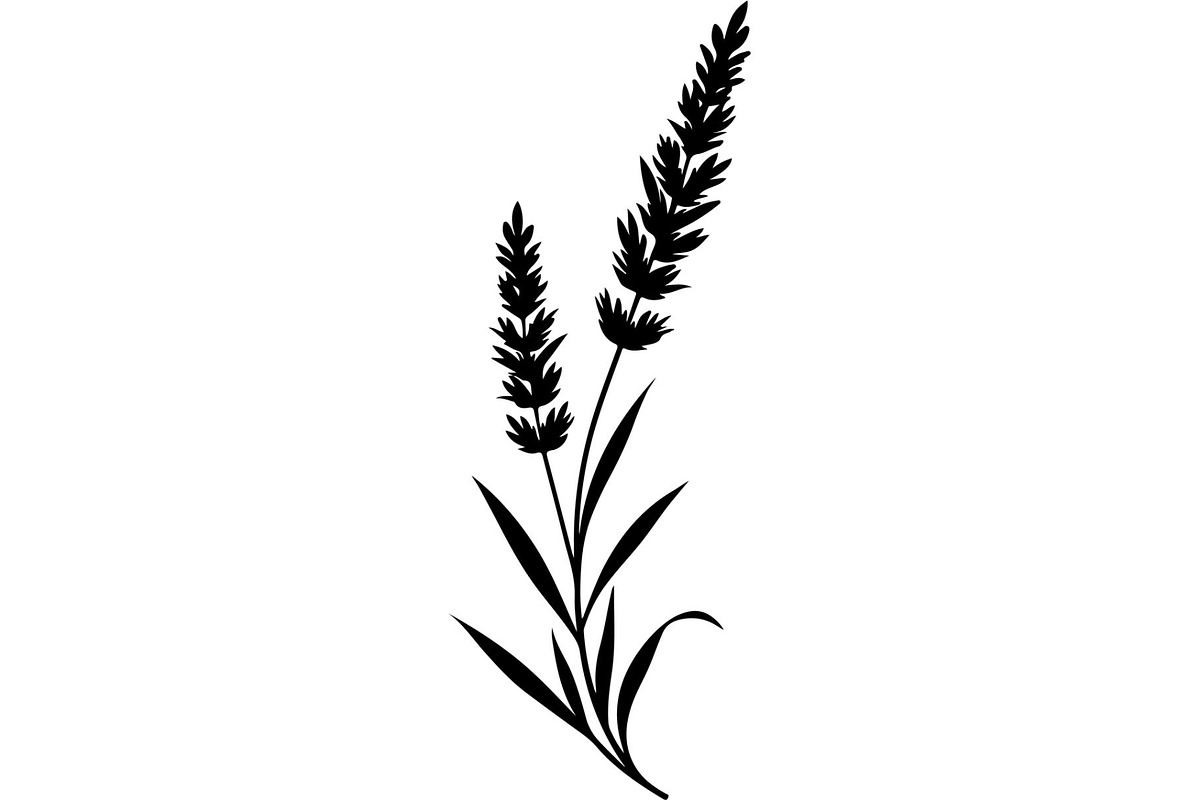 Decorative Tribal Feather Vector, an Object Graphic by Designer_Momina (Photo 7 of 18)