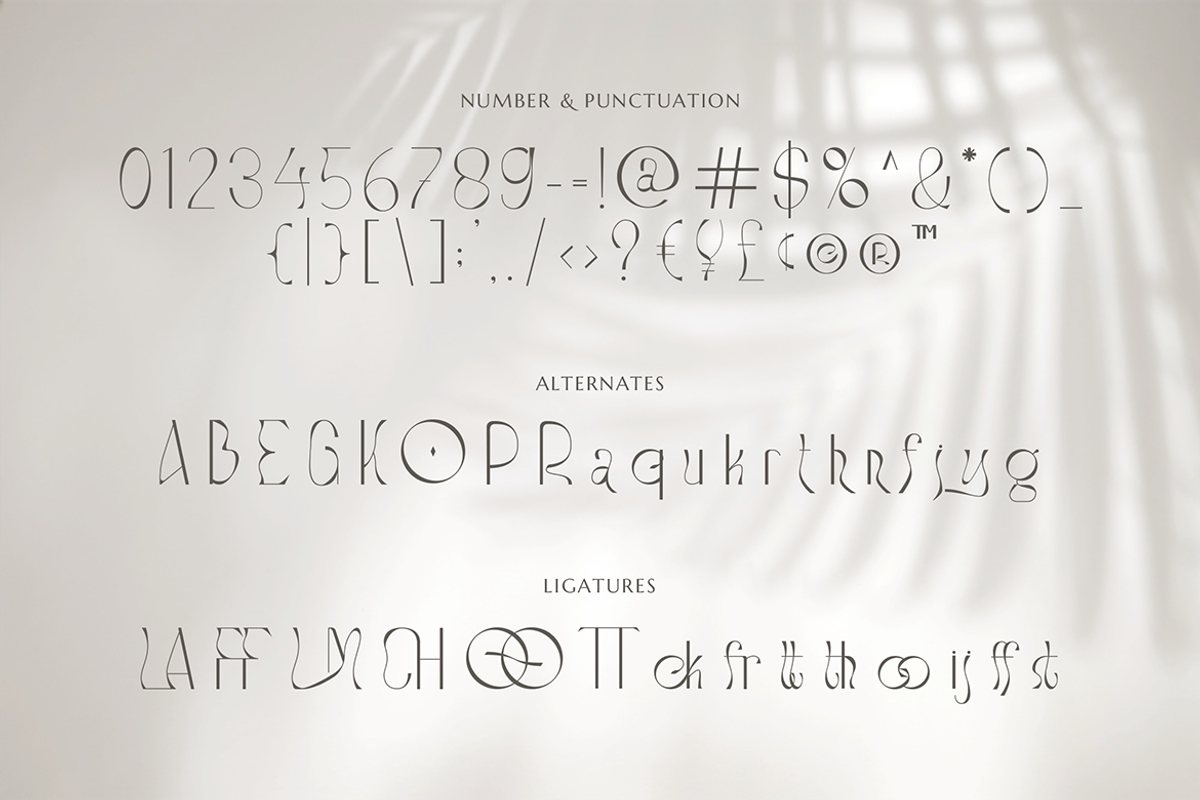 Stockist Elegant Display, a Font by Creatype Studio (Photo 8 of 10)
