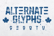 Hockeynight Sans Brush, a Sans Serif Font by XTOPH - Fonts (Thumbnail 3 of 6)