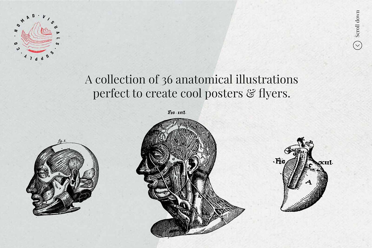 Vintage Bundle - 6600+ Illustrations, an Object Graphic by Nomad Visuals (Photo 22 of 46)