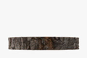 Wood Log Slice, an Environmental 3D Model by 3D_PikNik (Thumbnail 7 of 15)