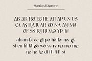 The Executive Casual, a Serif Font by Fontsgood (Thumbnail 12 of 13)