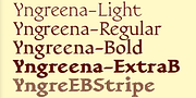 Yngreena, a Serif Font by Ingrimayne Type (Thumbnail 2 of 6)