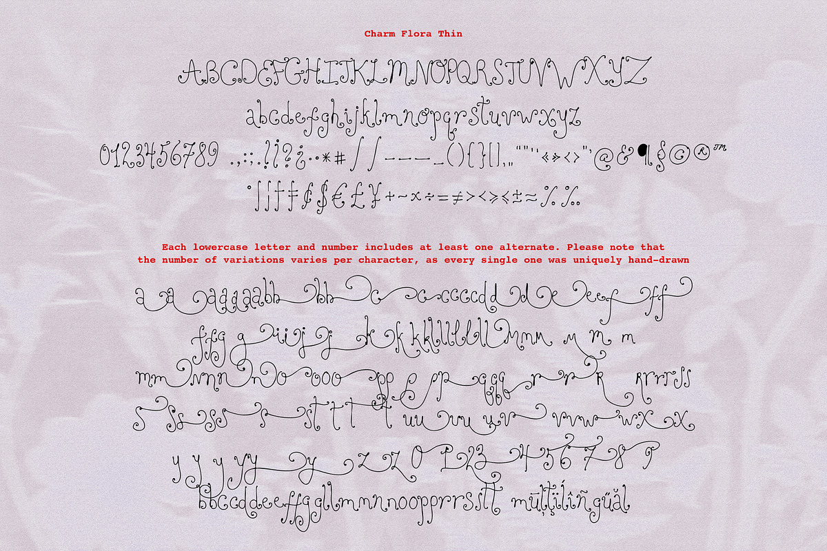 Charm Flora// Curly Font Set, a Handwritten Font by PeachCreme (Photo 17 of 18)