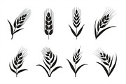 Agriculture Grain Silhouette Pack, an Illustration by Creativeshirt (Thumbnail 3 of 9)