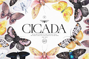 Cicada - Insects & Flowers Ink Set, a Texture Illustration by Kaleriia (Thumbnail 1 of 10)