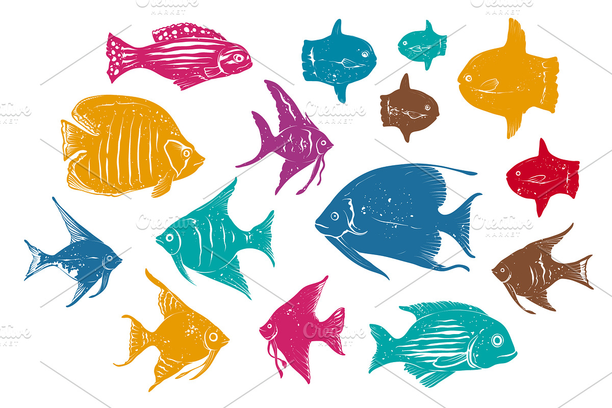 Exotic Underwater Creatures Drawings, a Decorative Illustration by Adiemus (Photo 2 of 9)