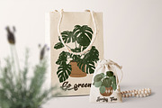 Boho house plants clipart, a Decorative Illustration by ApetekMarket (Thumbnail 5 of 5)