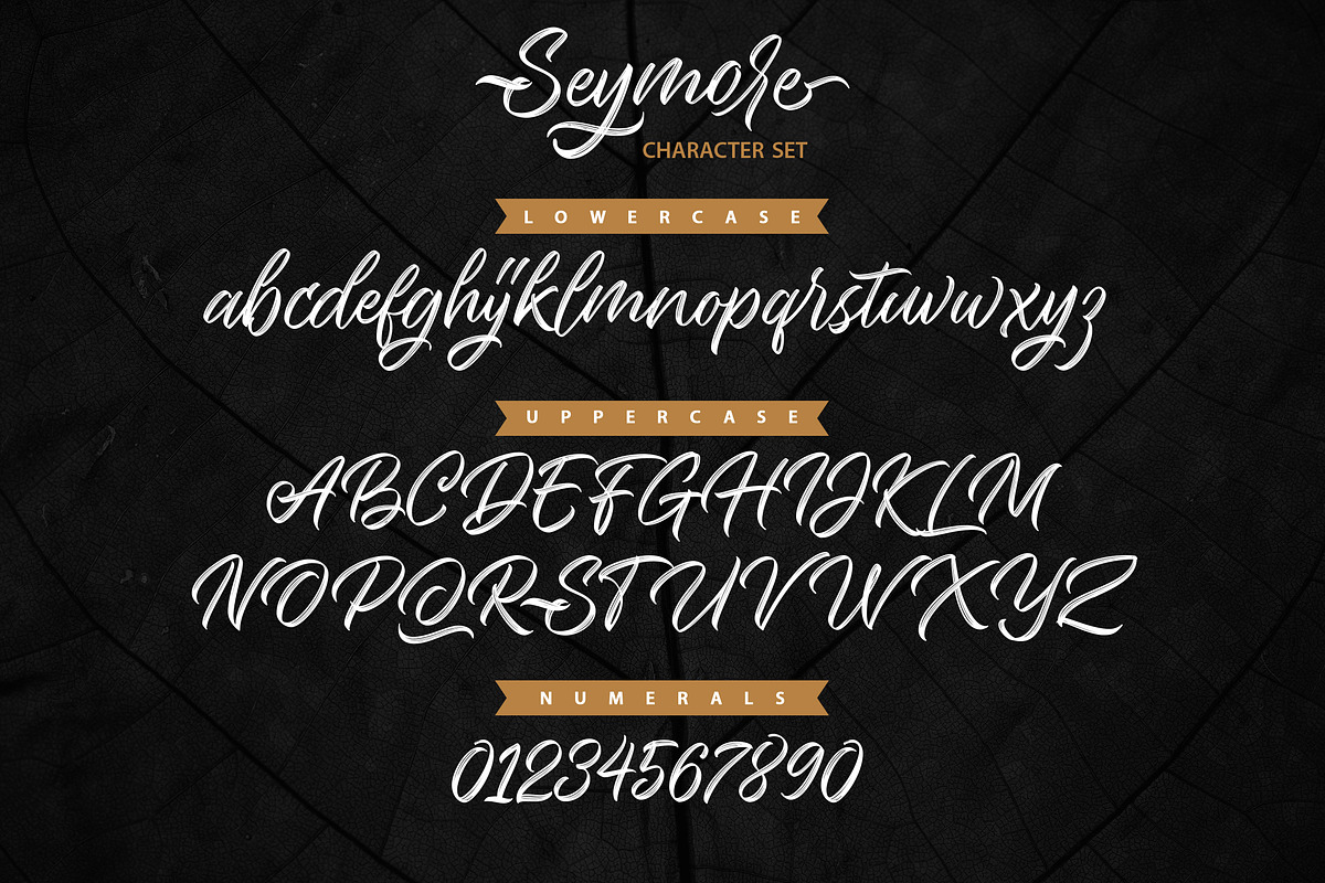 Seymore – Brush Script Font, a Script Font by Typefactoryco (Photo 8 of 12)