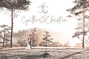 Bianca Kamelo Font, a Script Font by Ivan Rosenberg (Thumbnail 6 of 11)