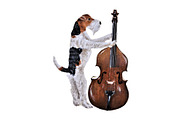 Musical Dog Paintings Bundle, an Animal Illustration by Doggy Days (Thumbnail 5 of 7)