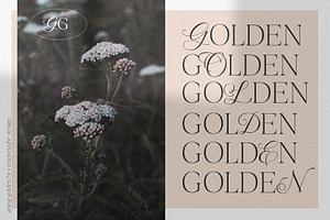 Going Golden Font Family