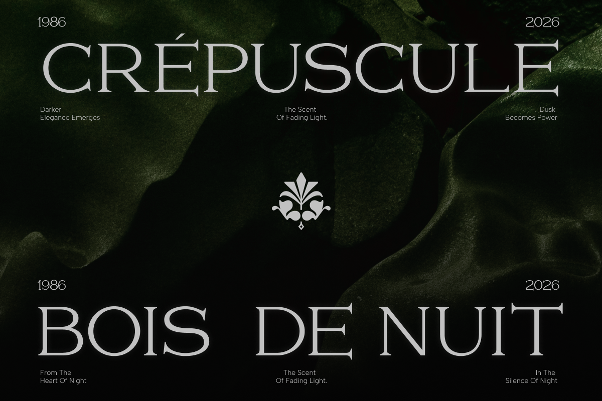 GC Volumn - Elegant Serif Typeface, a Serif Font by Glyphonic (Photo 10 of 15)