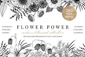 Vintage garden flower meadow lineart