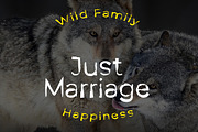 Wolf Claws Font, a Sans Serif Font by yantodesign (Thumbnail 8 of 10)