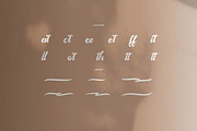 Famylia Holistika Hand Drawn Script, a Script Font by Denustudios (Thumbnail 12 of 14)