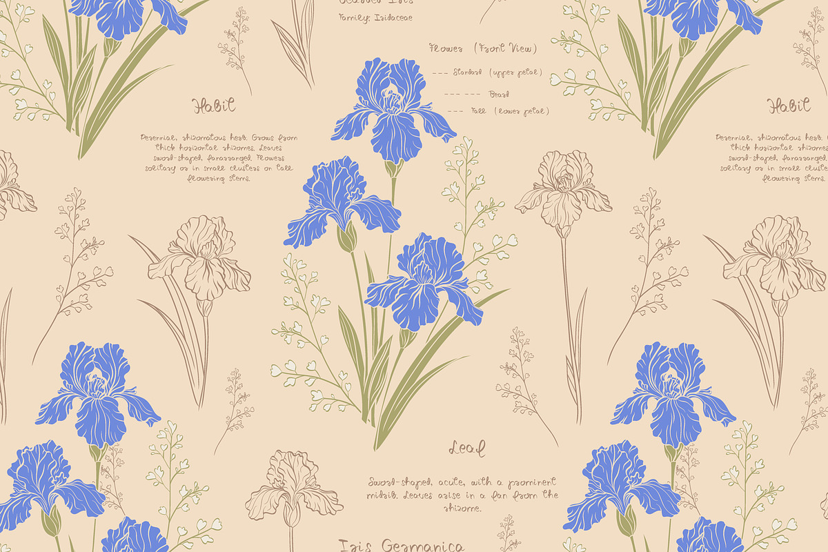 Vintage Blue Irises patterns, a Pattern Graphic by Carpet Tapete Pretzel (Photo 3 of 16)