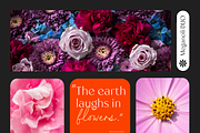 Meganoli - A Modern Font Duo, a Sans Serif Font by Ainun Jinan (Thumbnail 9 of 13)